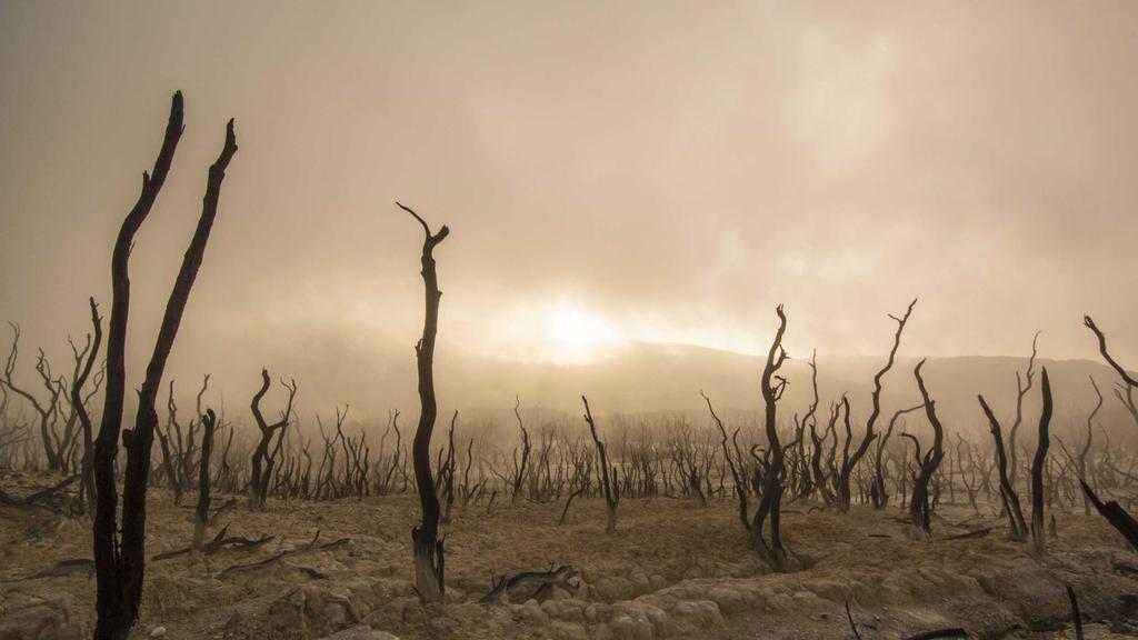 中国传统文化:千年智慧如何照亮现代生活